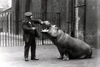 1923年にロンドン動物園で飼育員のアーニーボーマンとカバのボビーが 作： Frederick William Bond